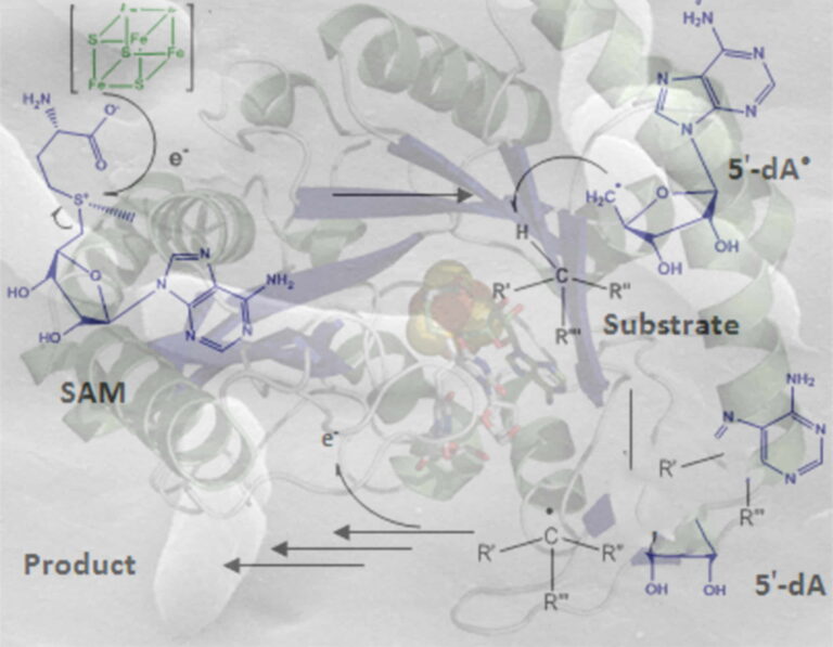 Chemical and Synthetic Biology - ChemSyBio