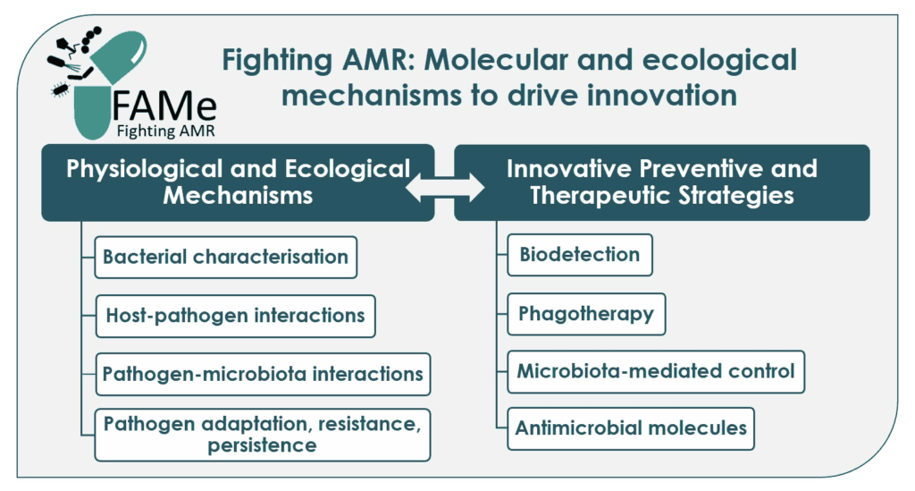 FAMe : Fighting AMR