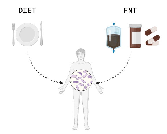 Modulation of the microbiome as a preventive and therapeutic lever and Nutritional interventions - PhylHom