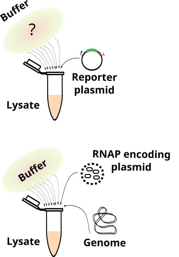 Syber axis 1 - Decoding gene expression for precise control of synthetic circuitry